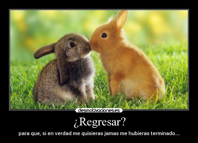 ¿Regresar? -