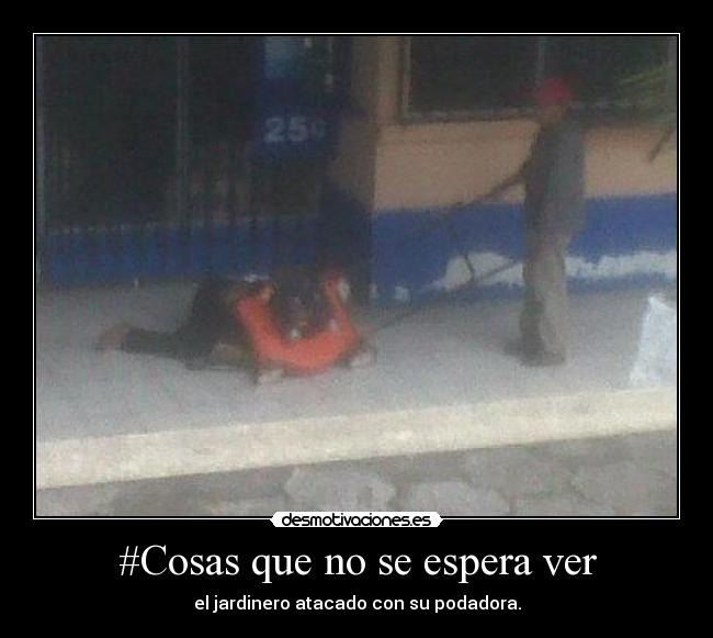 #Cosas que no se espera ver - el jardinero atacado con su podadora.