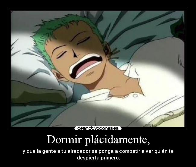 carteles dormir one piece roronoa zoro anime manga desmotivaciones