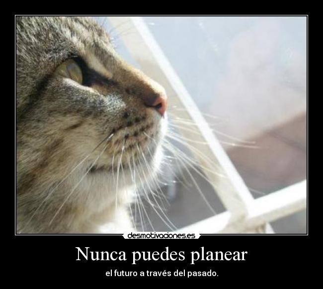 Nunca puedes planear - el futuro a través del pasado.