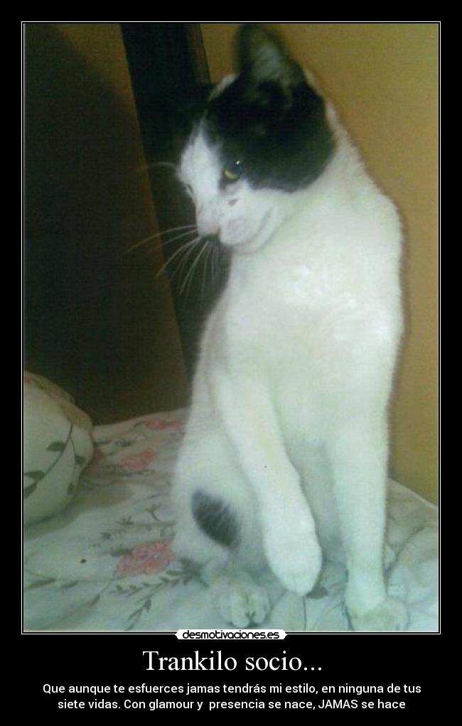 carteles july karlita tany mai sandy joselyn sonia mishel mafer ginger geova desmotivaciones