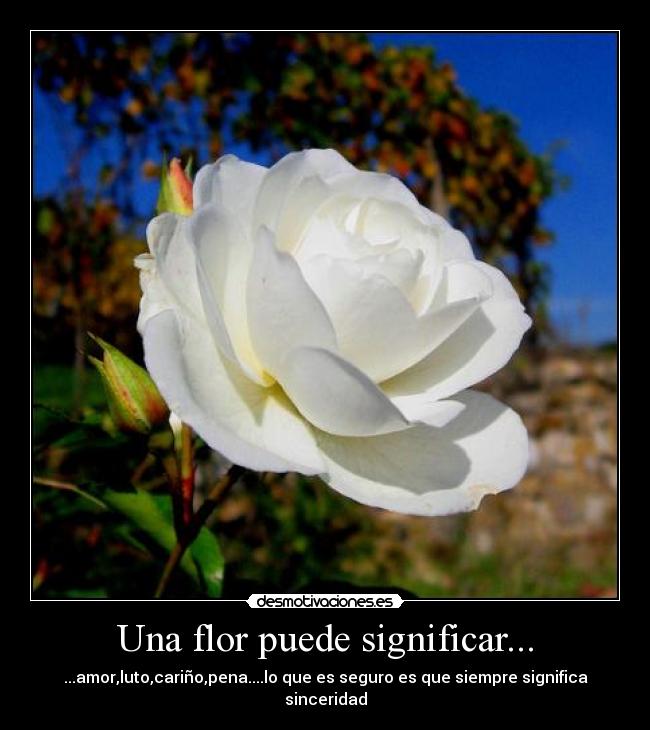 Una flor puede significar... -