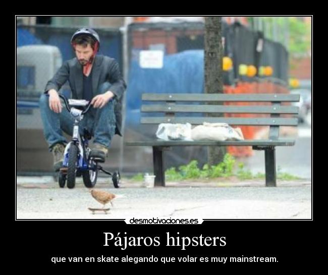 Pájaros hipsters - 