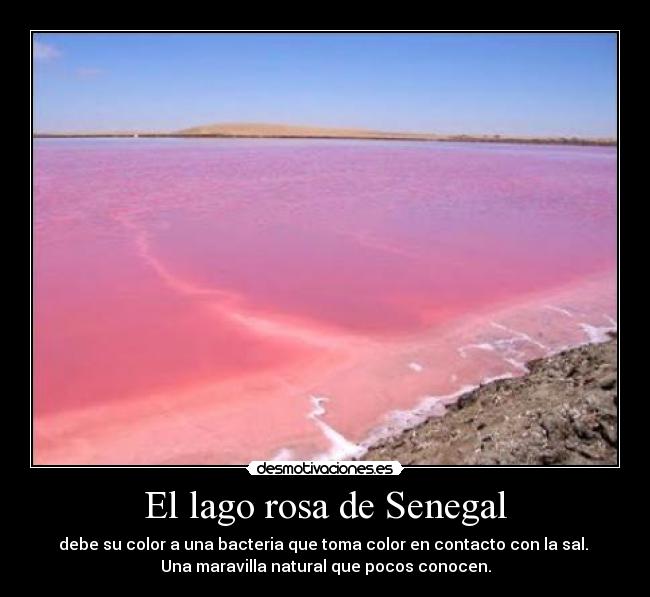 El lago rosa de Senegal - debe su color a una bacteria que toma color en contacto con la sal.
Una maravilla natural que pocos conocen.