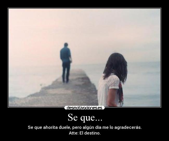 carteles sofiaa desmotivaciones