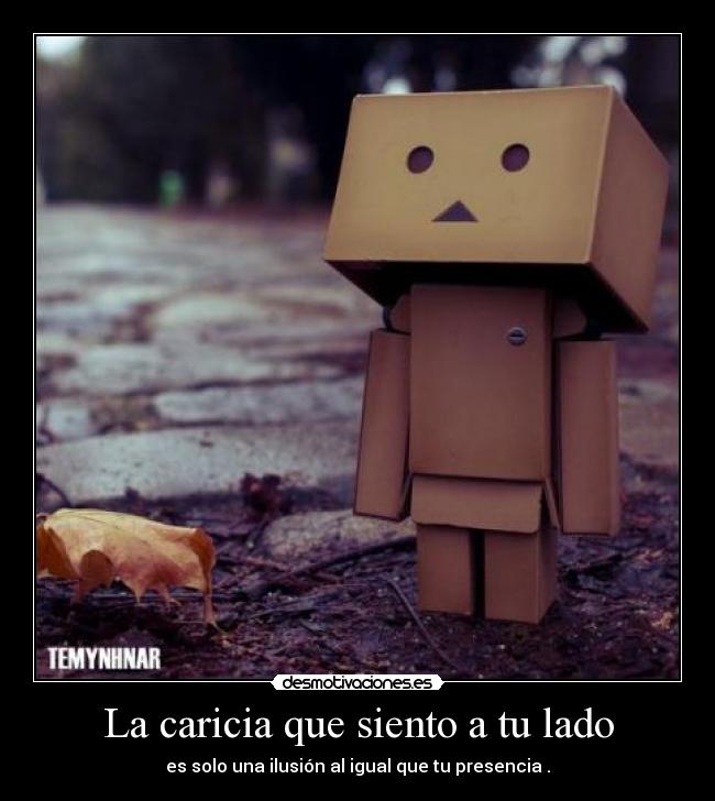 La caricia que siento a tu lado - es solo una ilusión al igual que tu presencia .