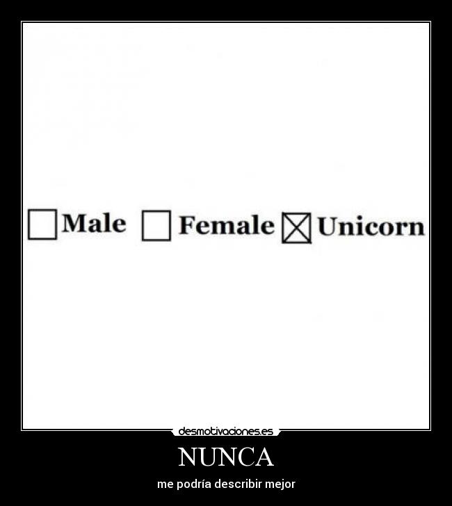 NUNCA - me podría describir mejor