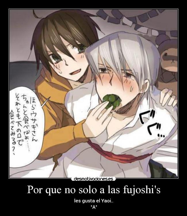 carteles por que solo las fujoshi les gusta yaoi anime manga usagui misaki hard otaku kurenasai desmotivaciones