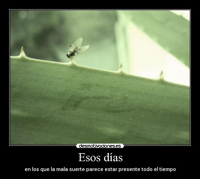 Esos días - en los que la mala suerte parece estar presente todo el tiempo