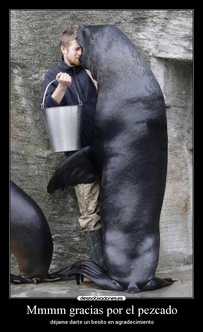 Mmmm gracias por el pezcado -