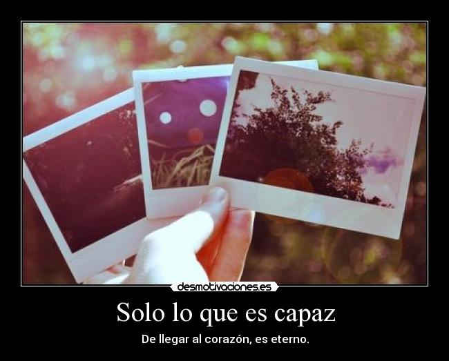 Solo lo que es capaz - 
