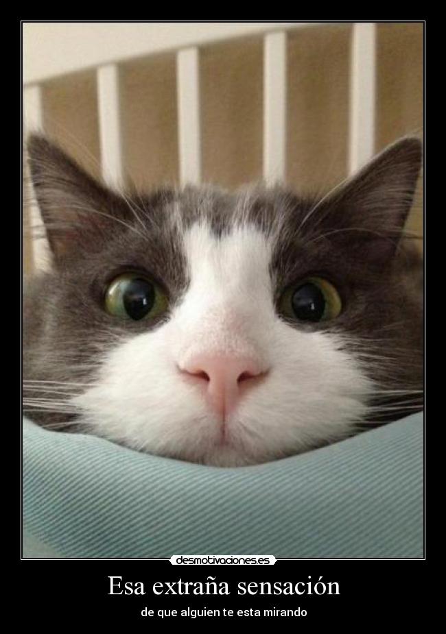 Esa extraña sensación - de que alguien te esta mirando