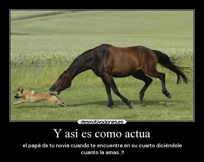 carteles bosque animales suegros desmotivaciones