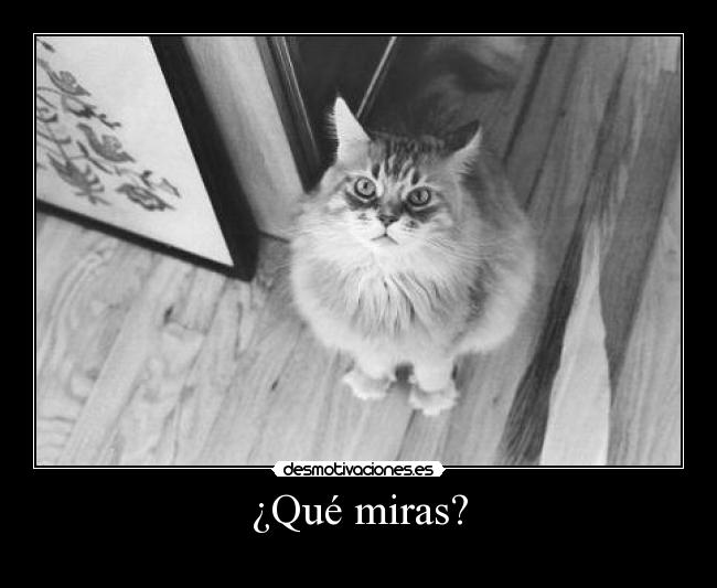 carteles tkmmaru carteles 2desmoconcurso desmotivaciones