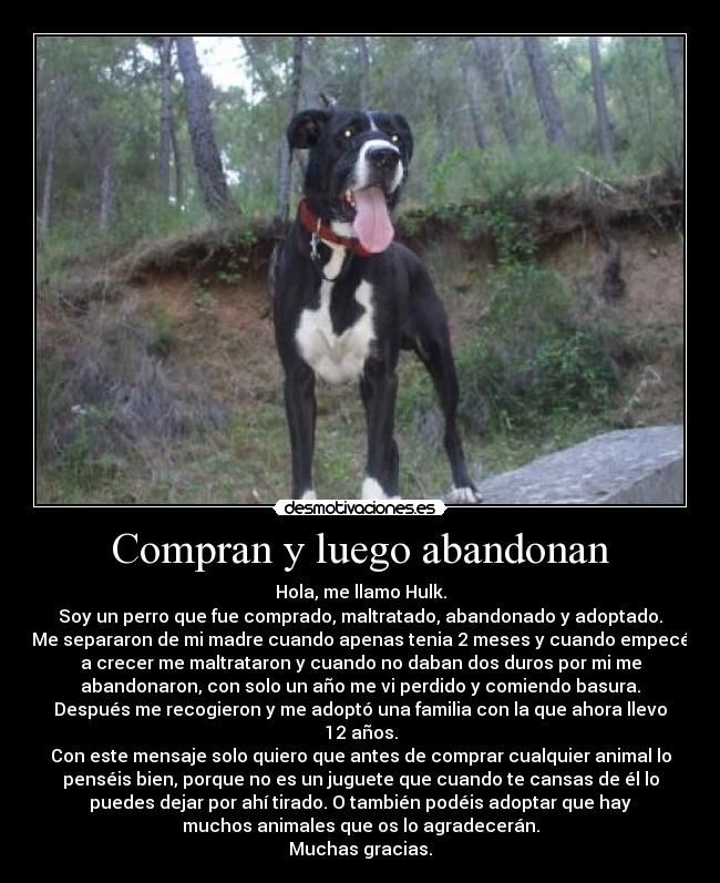 Compran y luego abandonan -