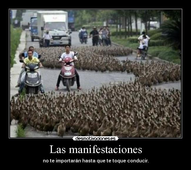 Las manifestaciones - 