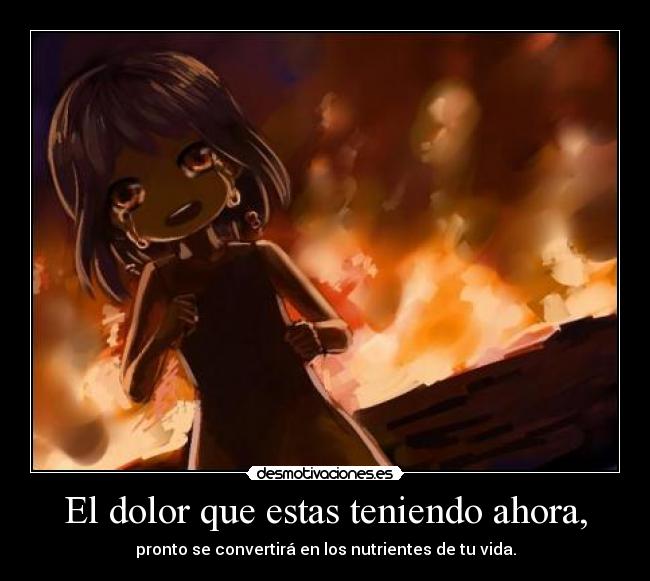 carteles dolor one piece nico robin anime manga frase taeyang big bang kpop desmotivaciones