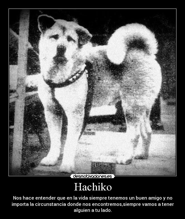 Hachiko -