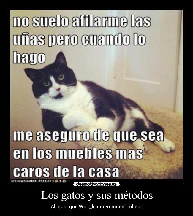 Los gatos y sus métodos -