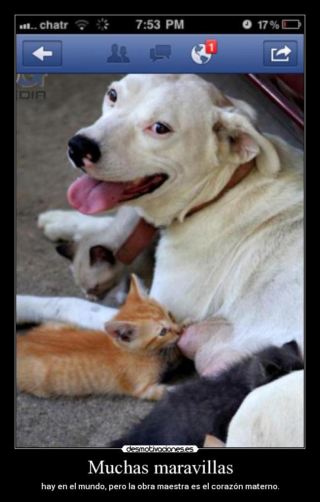 Muchas maravillas - hay en el mundo, pero la obra maestra es el corazón materno.