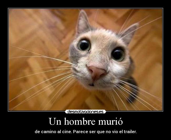 carteles makasister badum tsss desmotivaciones