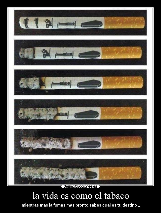 la vida es como el tabaco - mientras mas la fumas mas pronto sabes cual es tu destino ..