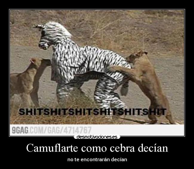Camuflarte como cebra decían - no te encontrarán decían
