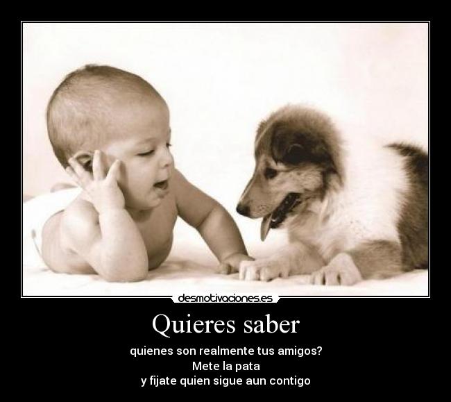 carteles amigos desmotivaciones