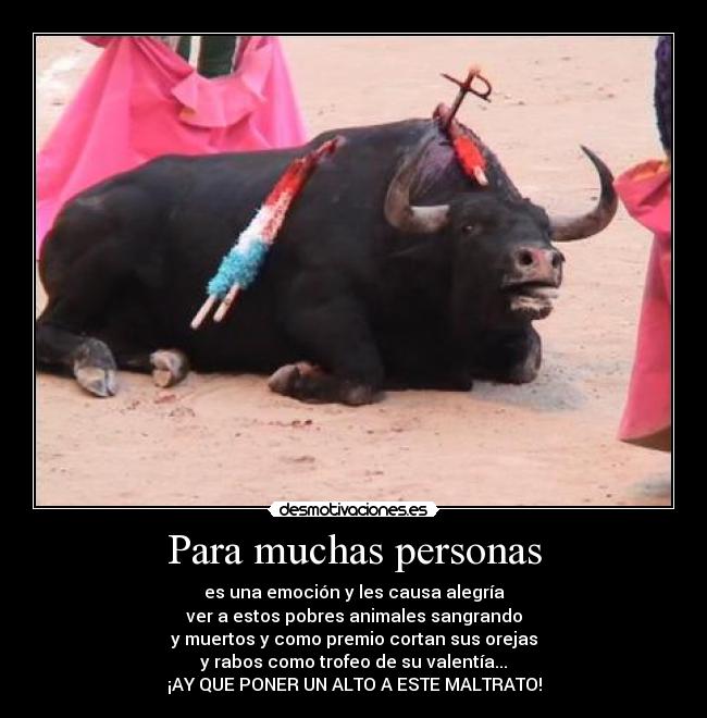 Para muchas personas - es una emoción y les causa alegría
ver a estos pobres animales sangrando
y muertos y como premio cortan sus orejas
y rabos como trofeo de su valentía...
¡AY QUE PONER UN ALTO A ESTE MALTRATO!