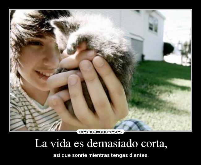 carteles vida raise your glass xdddddddddddddddddd desmotivaciones