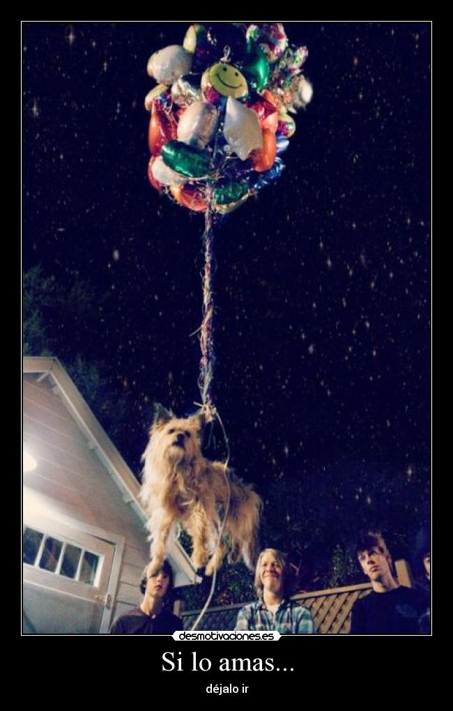 Si lo amas... - déjalo ir