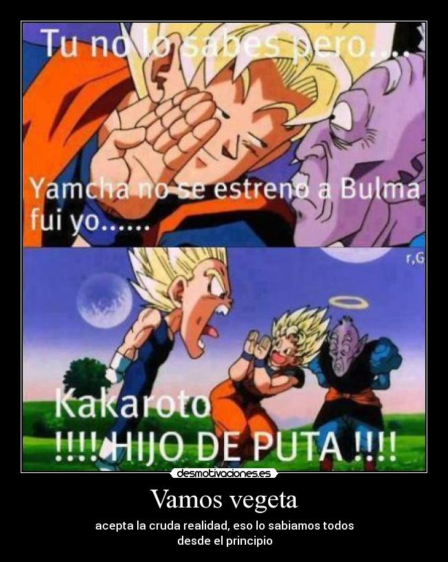 carteles dragon ball goku vegeta parodia echos reales infidelidades desmotivaciones