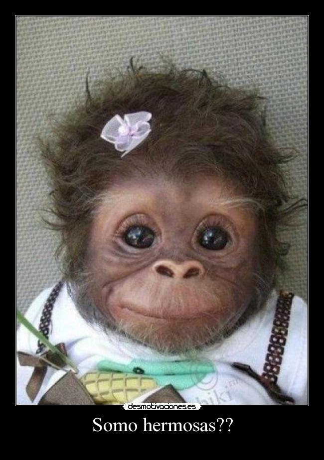 carteles sip desmotivaciones