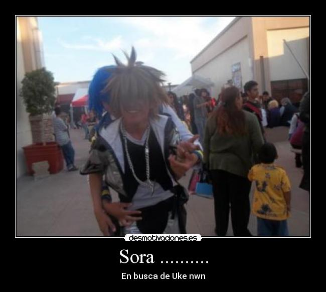 Sora .......... -
