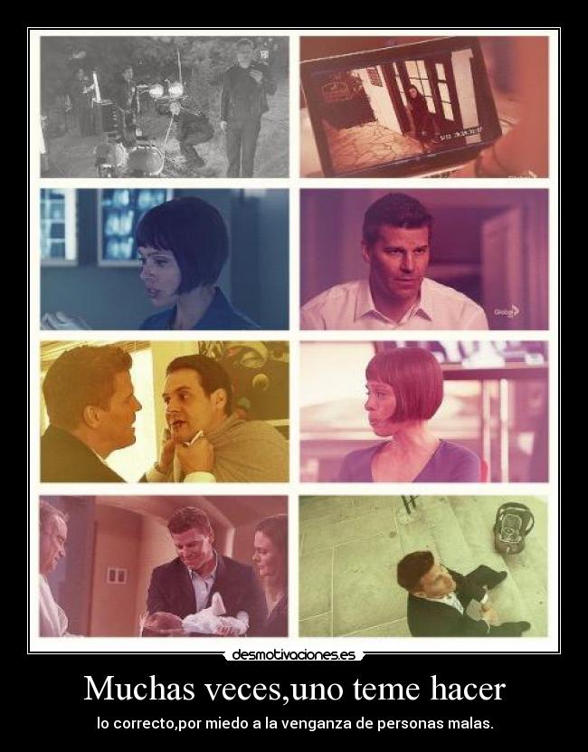 carteles bones temperance brennan temperanse emily deschanel inculpada homisidio pelant hacker desmotivaciones