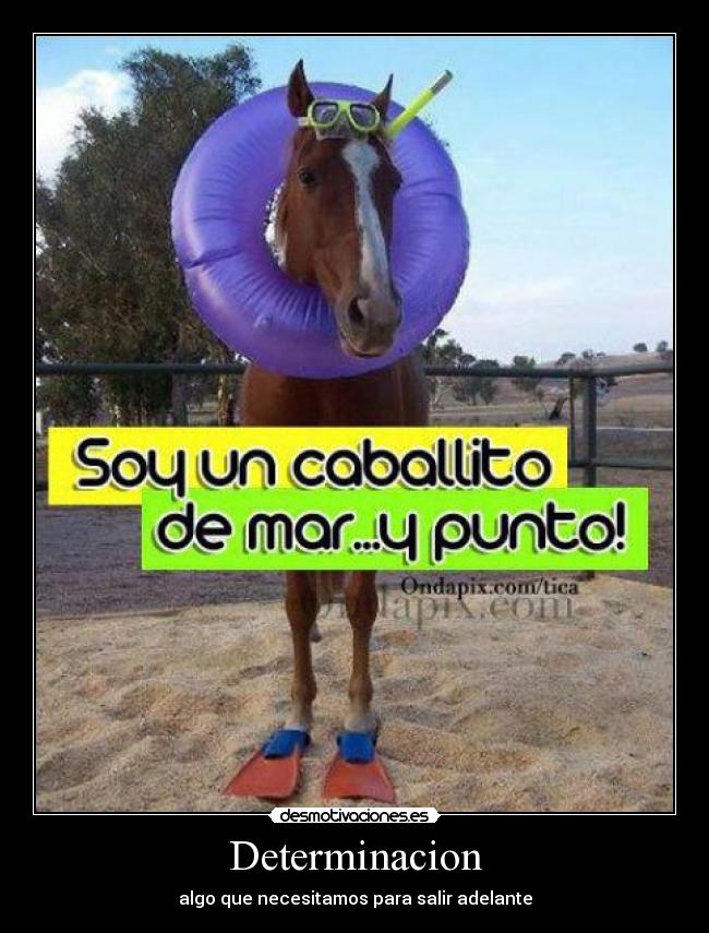 Determinacion - algo que necesitamos para salir adelante