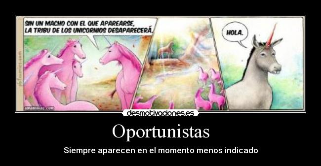 carteles askjd akjsd kajs cabballoas dkjas dkjlas dlasodasod desmotivaciones