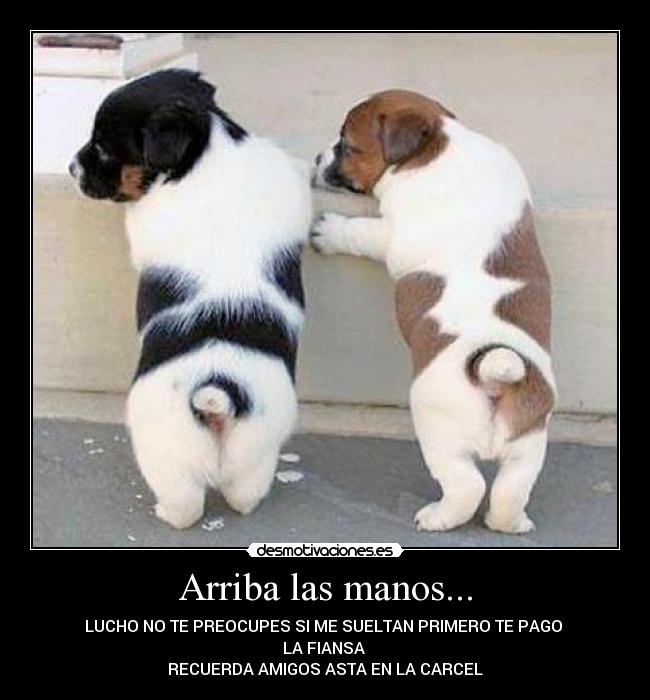 Arriba las manos... - 