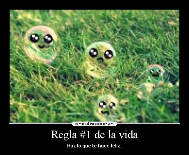 carteles vida regla vida desmotivaciones