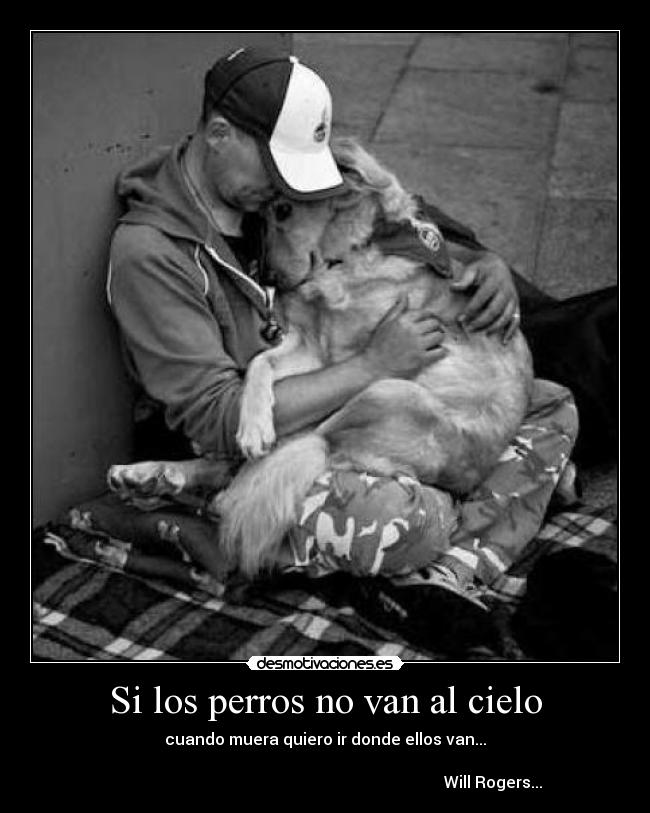 Si los perros no van al cielo - 