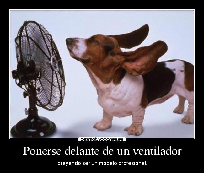 Ponerse delante de un ventilador - creyendo ser un modelo profesional.