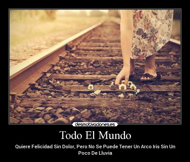 Todo El Mundo - Quiere Felicidad Sin Dolor, Pero No Se Puede Tener Un Arco Iris Sin Un
Poco De Lluvia