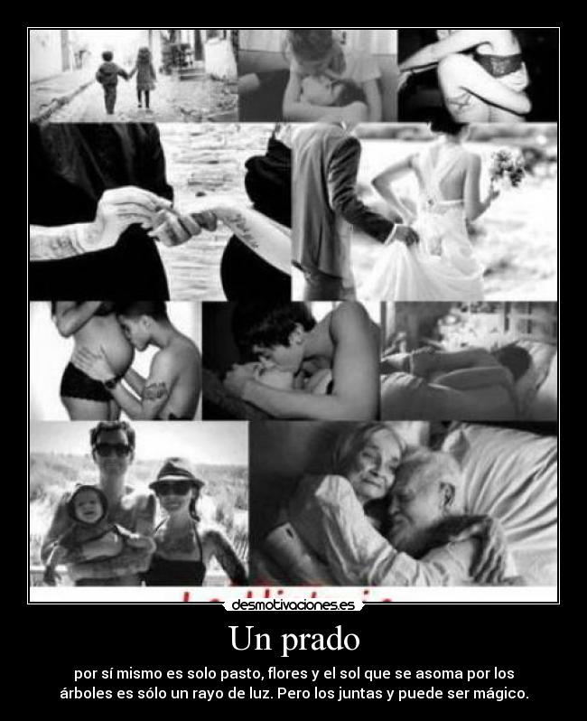 Un prado - por sí mismo es solo pasto, flores y el sol que se asoma por los
árboles es sólo un rayo de luz. Pero los juntas y puede ser mágico.