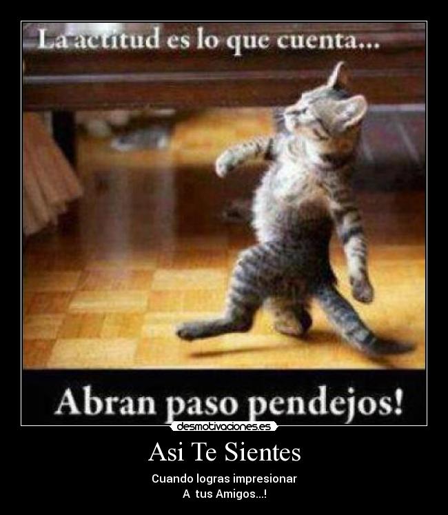 Asi Te Sientes - Cuando logras impresionar
A  tus Amigos...!