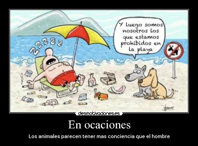 En ocaciones - Los animales parecen tener mas conciencia que el hombre