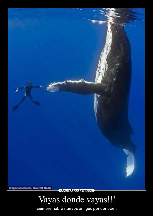 Vayas donde vayas!!! - siempre habrá nuevos amigos por conocer.
