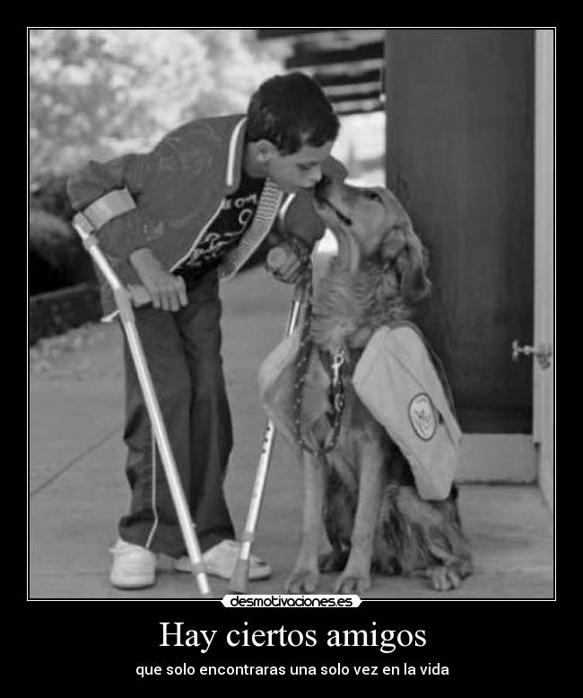 Hay ciertos amigos -