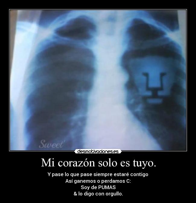 Mi corazón solo es tuyo. - 