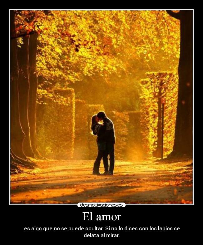 El amor - es algo que no se puede ocultar. Si no lo dices con los labios se delata al mirar.