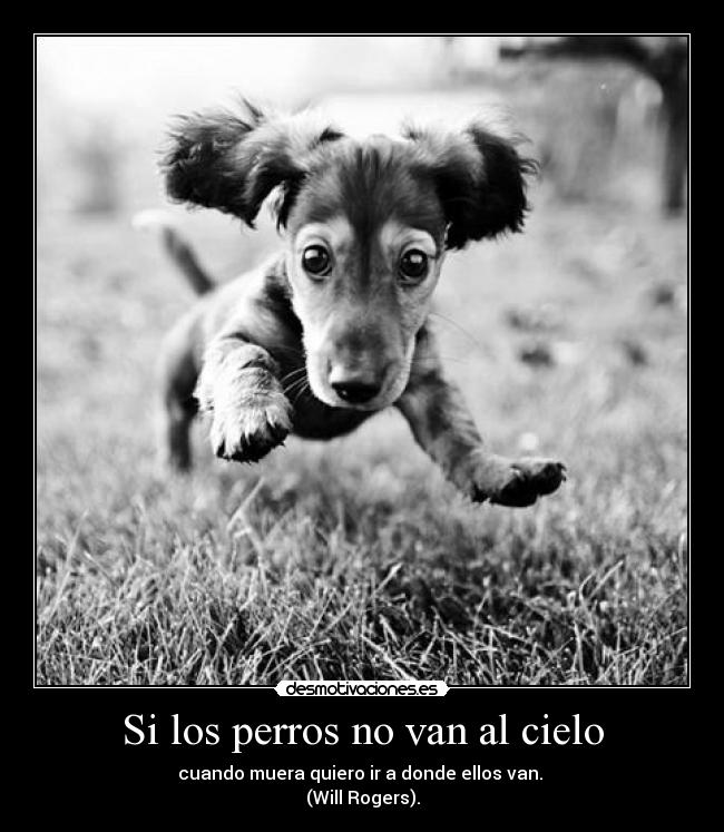 Si los perros no van al cielo - 